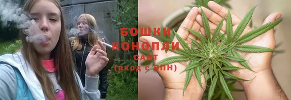 PSILOCYBIN Горно-Алтайск