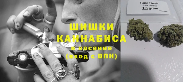 амф Горняк