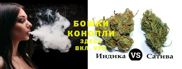 прущие грибы Горнозаводск