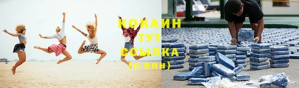 прущие грибы Горнозаводск