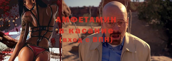 амф Горняк