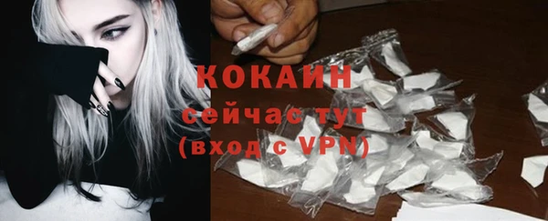 амф Горняк