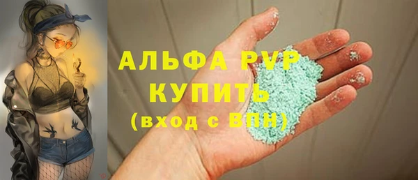 PSILOCYBIN Горно-Алтайск
