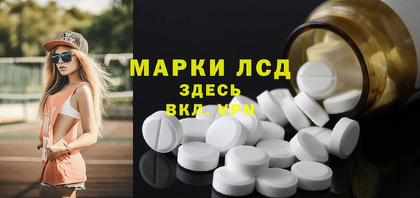 амф Горняк