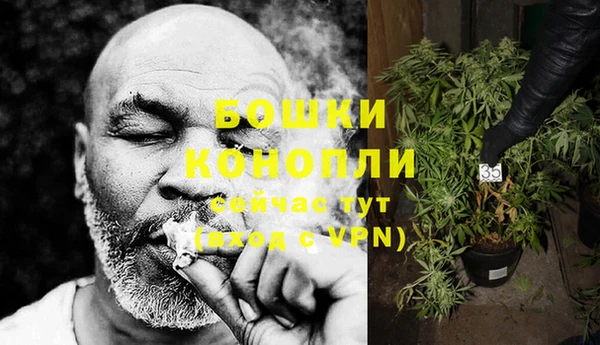 прущие грибы Горнозаводск