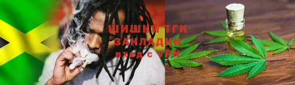 амф Горняк