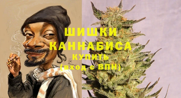 PSILOCYBIN Горно-Алтайск