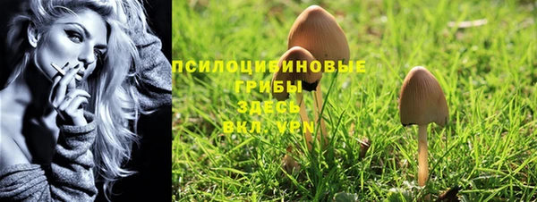 прущие грибы Горнозаводск