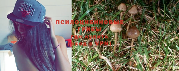 амф Горняк