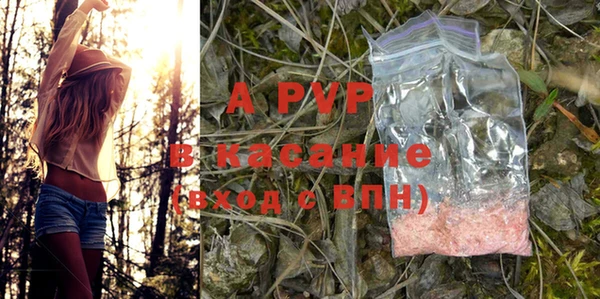 PSILOCYBIN Горно-Алтайск