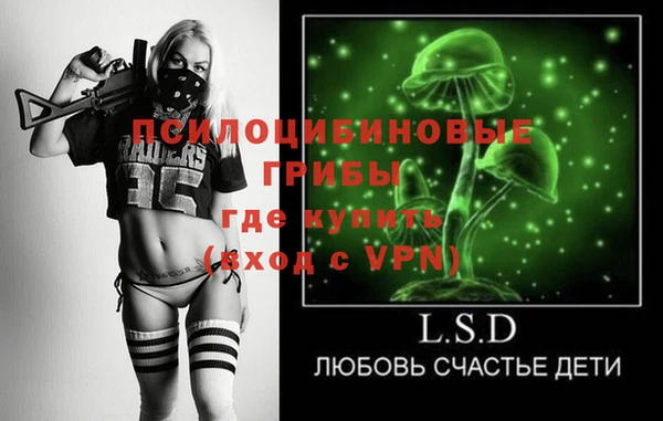 прущие грибы Горнозаводск