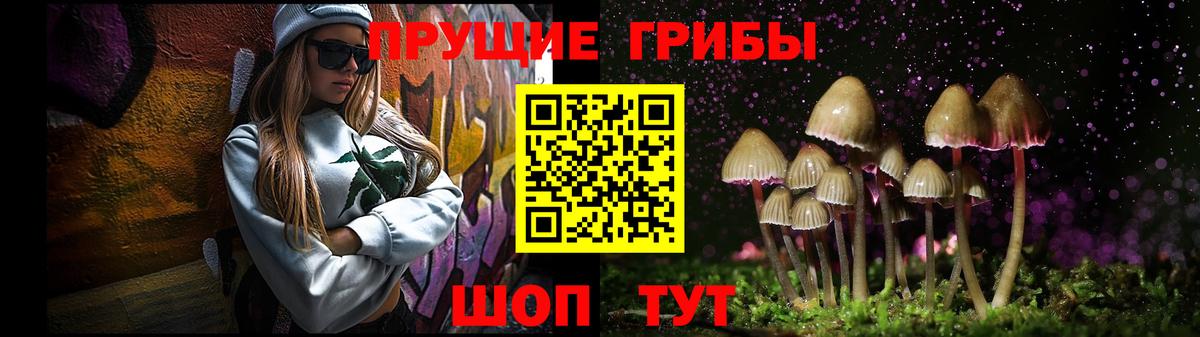 Псилоцибиновые грибы Psilocybe Гуково
