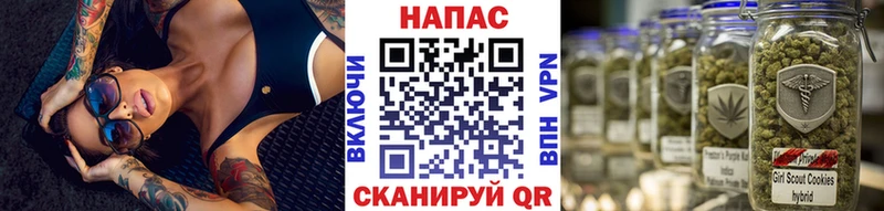 Конопля семена кракен Гуково